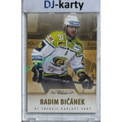 2015/16 OFS #189 Radim Bičánek Hobby /99