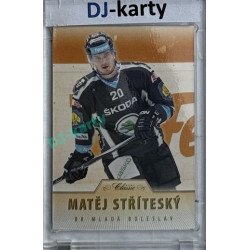 2015/16 OFS #243 Matěj Stříteský Hobby /99