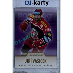 2015/16 OFS #133 Jiří Vašíček Purple 4/5