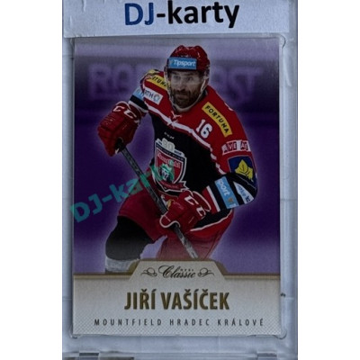 2015/16 OFS #133 Jiří Vašíček Purple 4/5