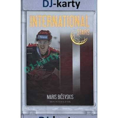 2018/19 OFS Maris Bičevskis #IS-12 International Stars