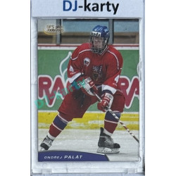 2008/09 OFS #U18/20 Ondřej Palát Reprezentace U18