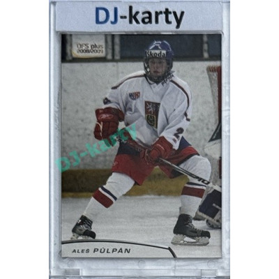 2008/09 OFS #U17/01 Aleš Půlpán Reprezentace U17