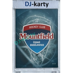 2008/09 OFS #S03 HC Mountfield české Budějovice Seznam