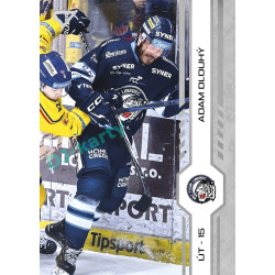 2024/25 Sportzoo ELH Play Off #407 Adam Dlouhý