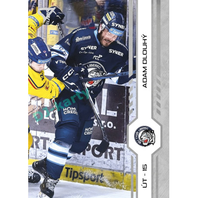 2024/25 Sportzoo ELH Play Off #407 Adam Dlouhý