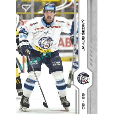 2024/25 Sportzoo ELH Play Off #406 Jakub Šedivý