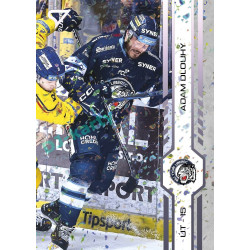 2024/25 Sportzoo ELH Play Off #407 Adam Dlouhý Puck Marks