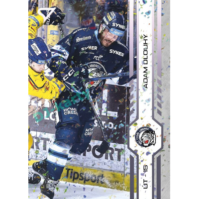 2024/25 Sportzoo ELH Play Off #407 Adam Dlouhý Puck Marks