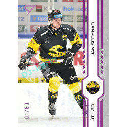 2024/25 Sportzoo ELH Play Off #388 Jan Šprynar Purple Iceberg xx/60