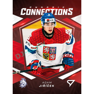 2025 Sportzoo Hokejové ČESKO #DC-04 David Jiříček / Adam Jiříček Dynamic Connections 3D