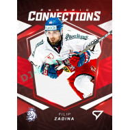 2025 Sportzoo Hokejové ČESKO #DC-14 Matěj Stránský / Filip Zadina Dynamic Connections 3D