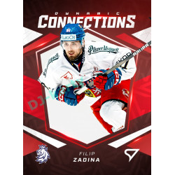 2025 Sportzoo Hokejové ČESKO #DC-14 Matěj Stránský / Filip Zadina Dynamic Connections 3D