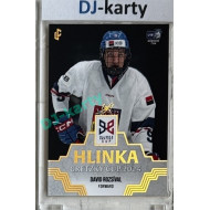 2024/25 LC Repre serie 1 #HGC-09 David Rozsíval Hlinka Gretzky Cup 2024 Gold 1of1