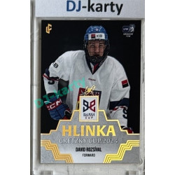 2024/25 LC Repre serie 1 #HGC-09 David Rozsíval Hlinka Gretzky Cup 2024 Gold 1of1