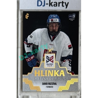 2024/25 LC Repre serie 1 #HGC-09 David Rozsíval Hlinka Gretzky Cup 2024 Gold 1of1