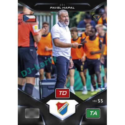 2025/26 Sportzoo Chance Liga DUEL #031 PAVEL HAPAL