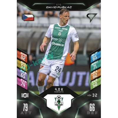 2025/26 Sportzoo Chance Liga DUEL #075 DAVID PUŠKÁČ