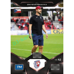 2025/26 Sportzoo Chance Liga DUEL #211 DAVID STŘIHAVKA