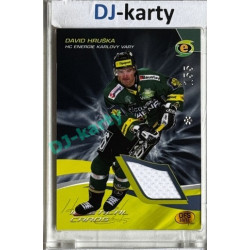2010/11 OFS #J14 David Hruška Identical cards jersey 155/xxx