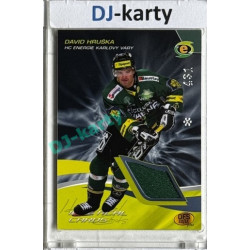 2010/11 OFS #J14 David Hruška Identical cards jersey 431/xxx