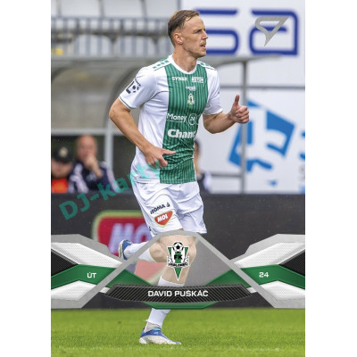 2025/26 Sportzoo Chance Liga 1. série #060 DAVID PUŠKÁČ