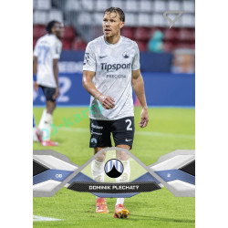 2025/26 Sportzoo Chance Liga 1. série #100 DOMINIK PLECHATÝ