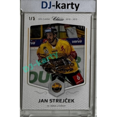 2018/19 OFS #221 Jan Strejček Expo Brno x/5