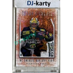 2013 Masked Stories #145 Vladislav Habal 2nd Period Expo Cards Day