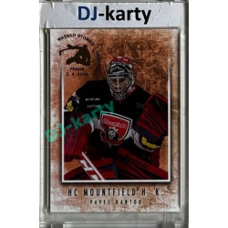 2013 Masked Stories #137 Pavel Kantor Expo Cards Day