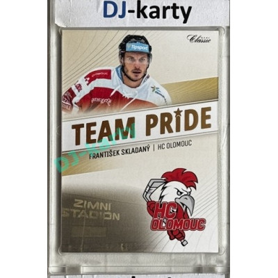 2016/17 OFS František Skladaný #TP-13 Team Pride (matná)