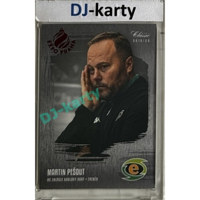 2019/20 OFS #216 Martin Pešout Silver Rainbow Expo Praha /10