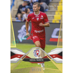2025/26 Sportzoo Chance Liga 1. série #172 MICHAL SURZYN Gold xx/25