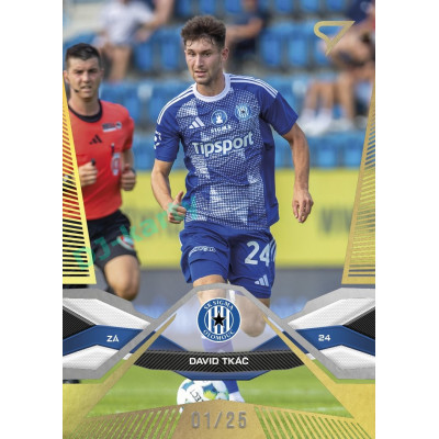 2025/26 Sportzoo Chance Liga 1. série #070 DAVID TKÁČ Gold xx/25