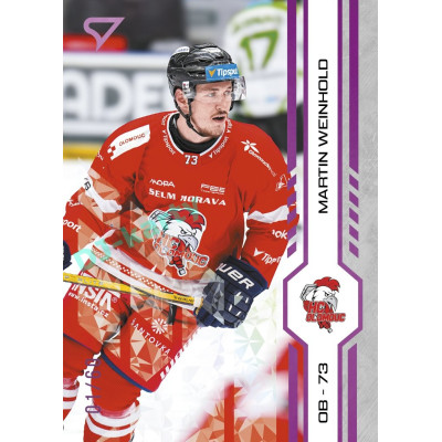 2024/25 Sportzoo ELH Play Off #430 Martin Weinhold Purple Iceberg xx/60