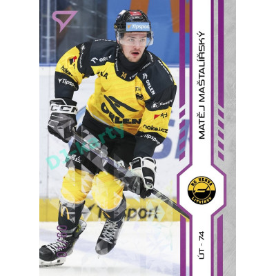 2024/25 Sportzoo ELH 2. serie #286 Matěj Maštalířský Purple Iceberg xx/60