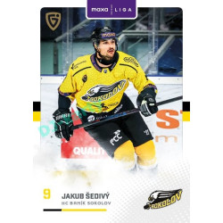 2025/26 Goal Cards Maxa liga #SOK-05 Jakub Šedivý