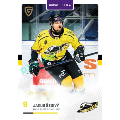 2025/26 Goal Cards Maxa liga #SOK-05 Jakub Šedivý