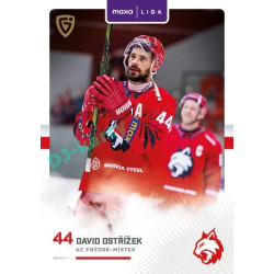 2025/26 Goal Cards Maxa liga #FMI-12 David Ostřížek