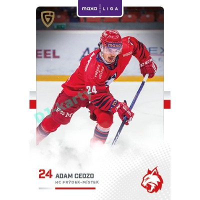 2025/26 Goal Cards Maxa liga #FMI-10 Adam Cedzo