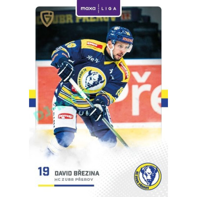2025/26 Goal Cards Maxa liga #PRE-14 David Březina