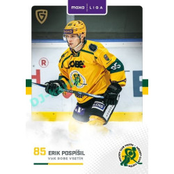 2025/26 Goal Cards Maxa liga #VSE-15 Erik Pospíšil