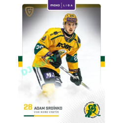 2025/26 Goal Cards Maxa liga #VSE-06 Adam Srdínko