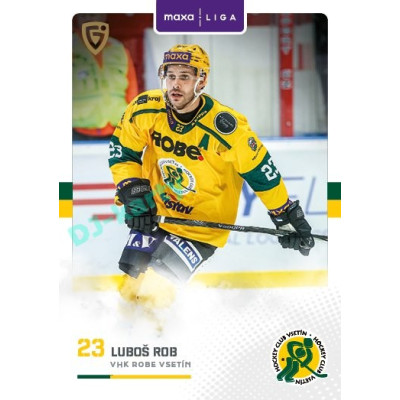 2025/26 Goal Cards Maxa liga #VSE-09 Luboš Rob