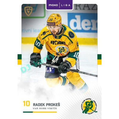 2025/26 Goal Cards Maxa liga #VSE-13 Radek Prokeš