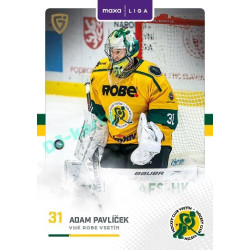 2025/26 Goal Cards Maxa liga #VSE-02 Adam Pavlíček
