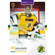 2025/26 Goal Cards Maxa liga #VSE-01 David Honzík