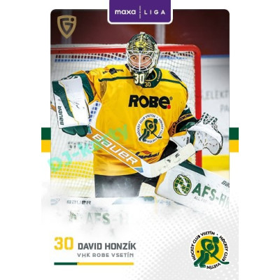 2025/26 Goal Cards Maxa liga #VSE-01 David Honzík