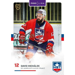 2025/26 Goal Cards Maxa liga #TRE-13 David Michálek