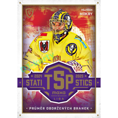 2025/26 Goal Cards Maxa liga #TOP-19 Vojtěch Mokry Top 5 Statistics